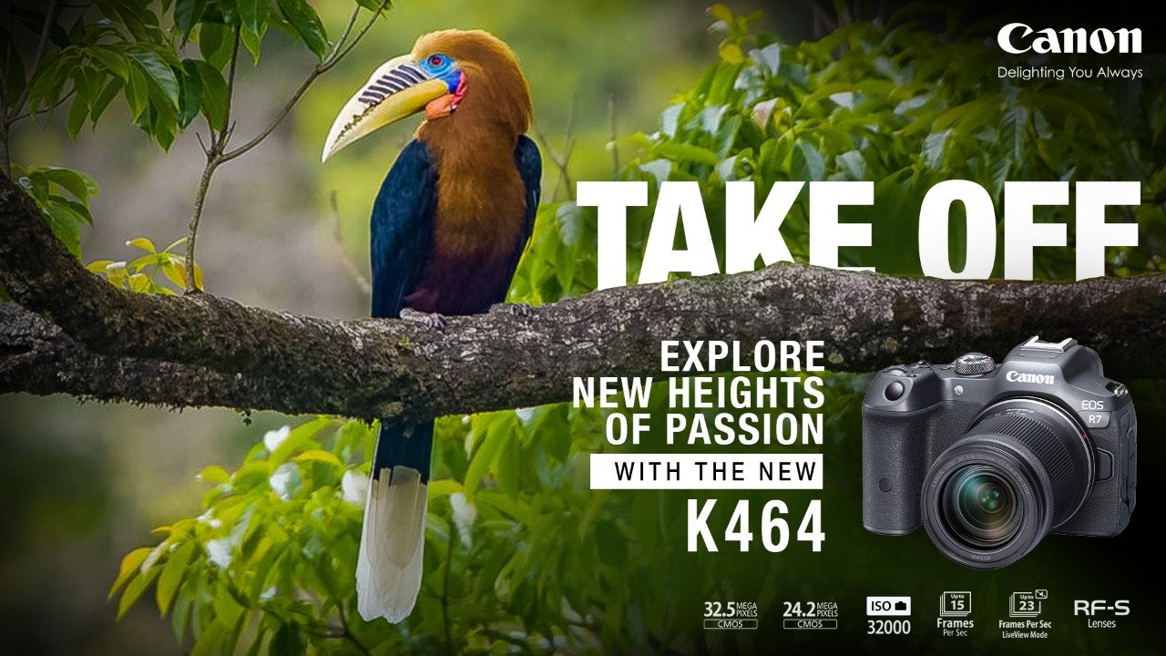 Take Off: The Song of the Birds